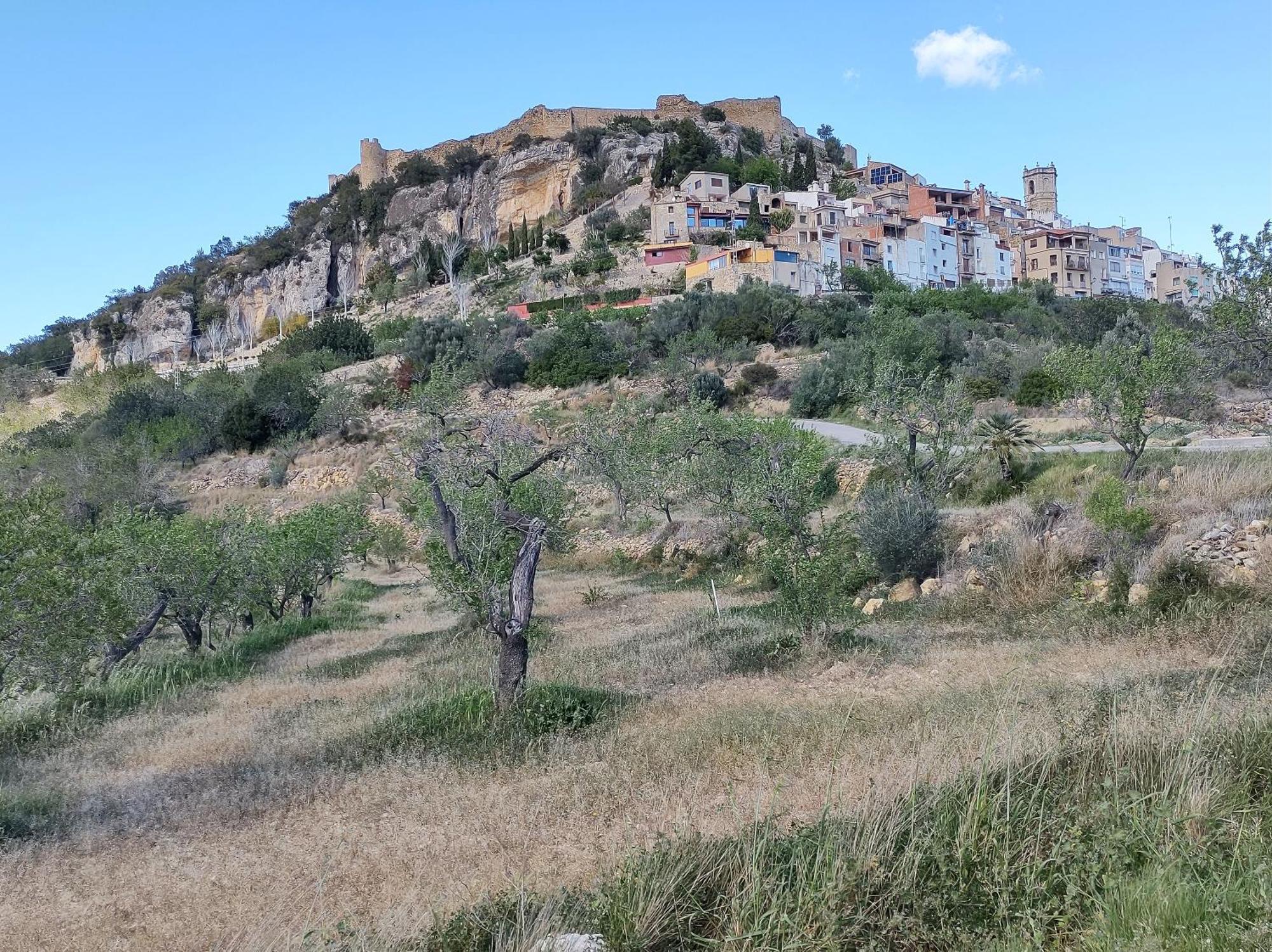 Tranquil And Spacious Townhouse In Historical And Picturesque Cervera Del Maestre Extérieur photo